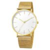 Women Watch Mesh Stainless Steel Bracelet